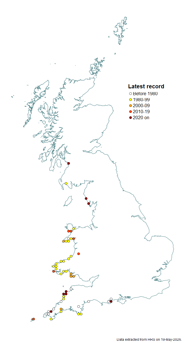 Distribution map for Eumerus sabulonum