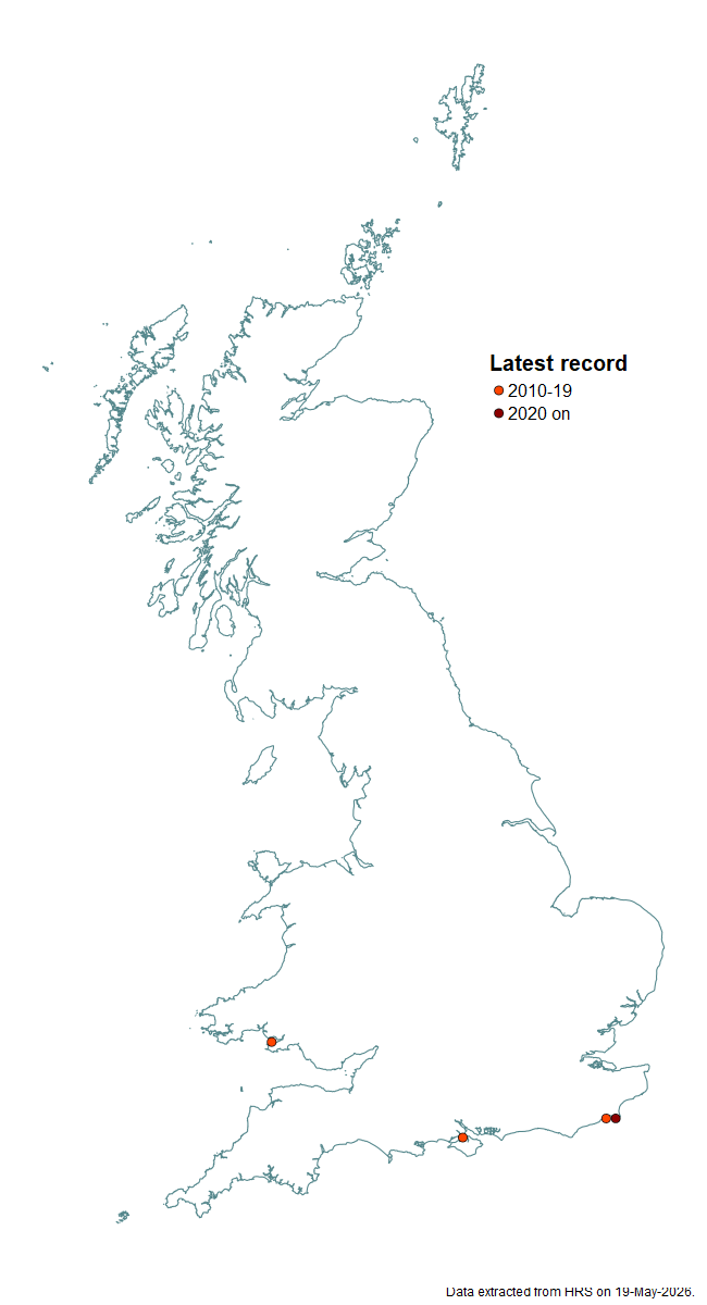 Distribution map for Eumerus sogdianus