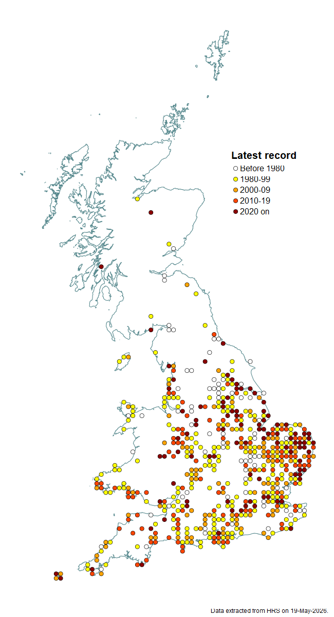 Distribution map for Eumerus strigatus