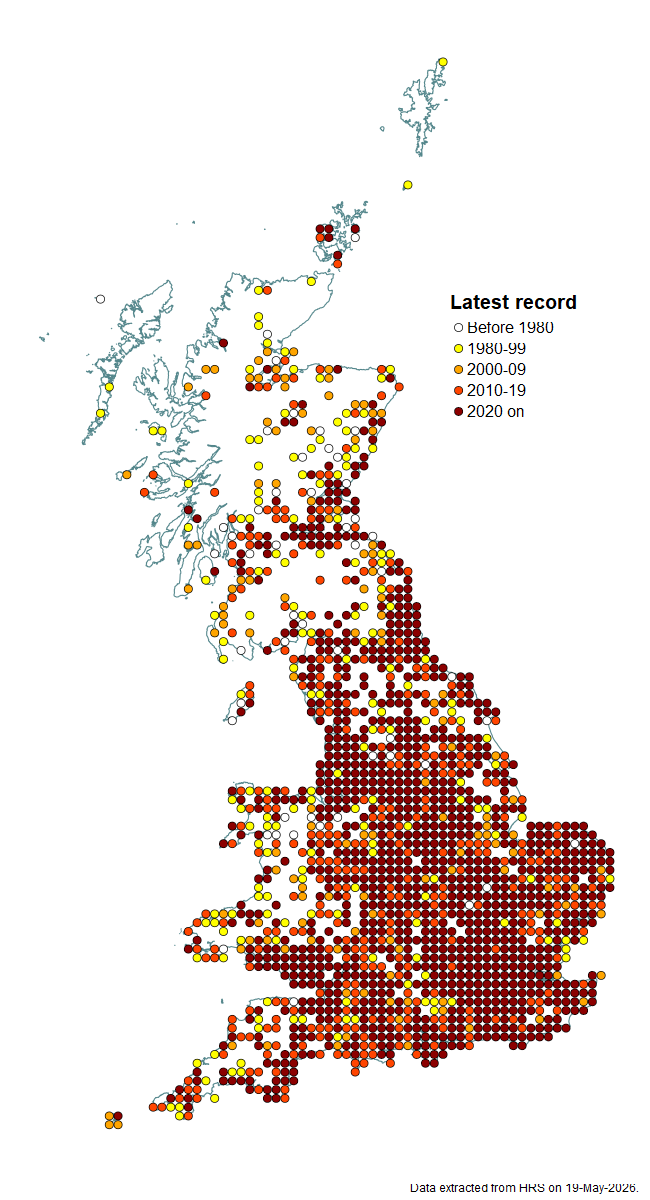Distribution map for Eupeodes luniger