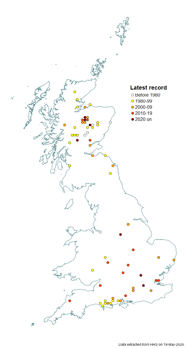Distribution map for Eupeodes nielseni
