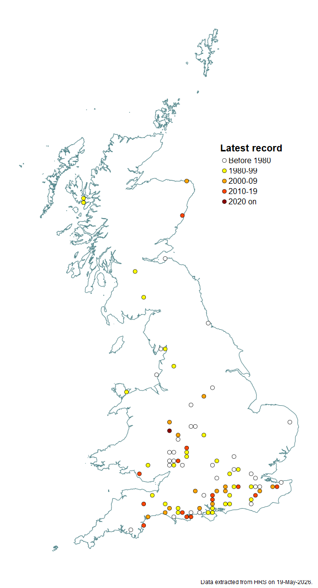 Distribution map for Eupeodes nitens