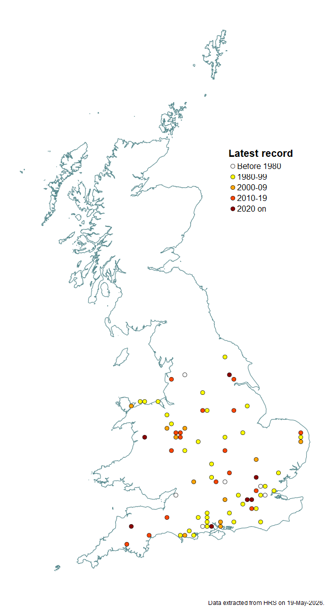 Distribution map for Ferdinandea ruficornis