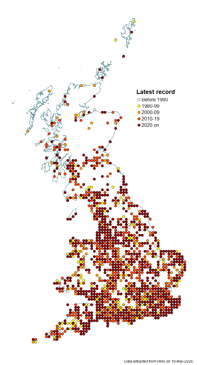 Distribution map for Helophilus trivittatus