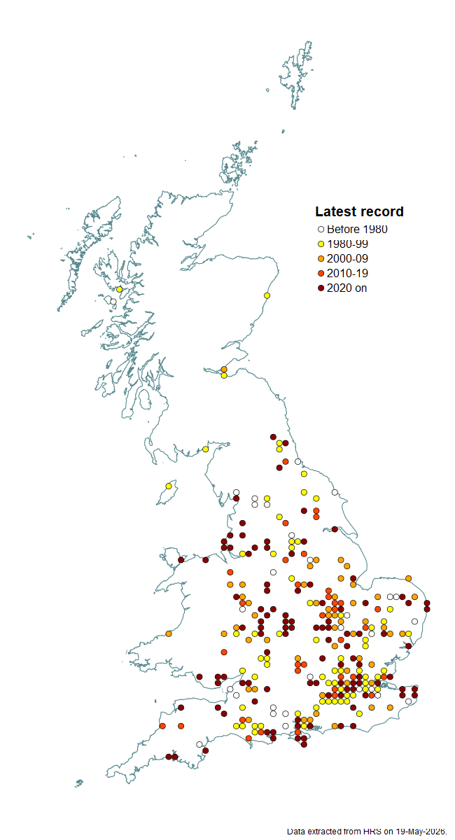 Distribution map for Heringia heringi