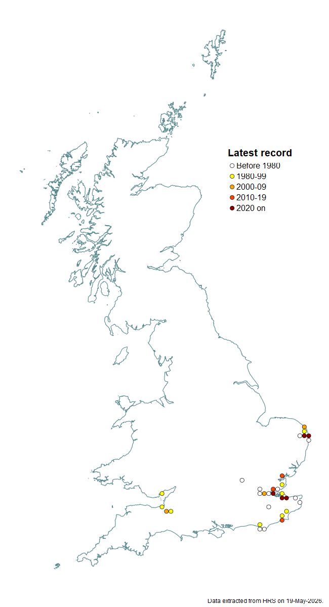 Distribution map for Lejops vittatus