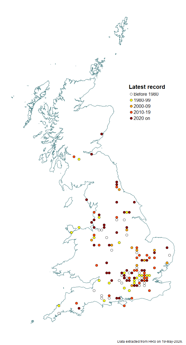 Distribution map for Mallota cimbiciformis