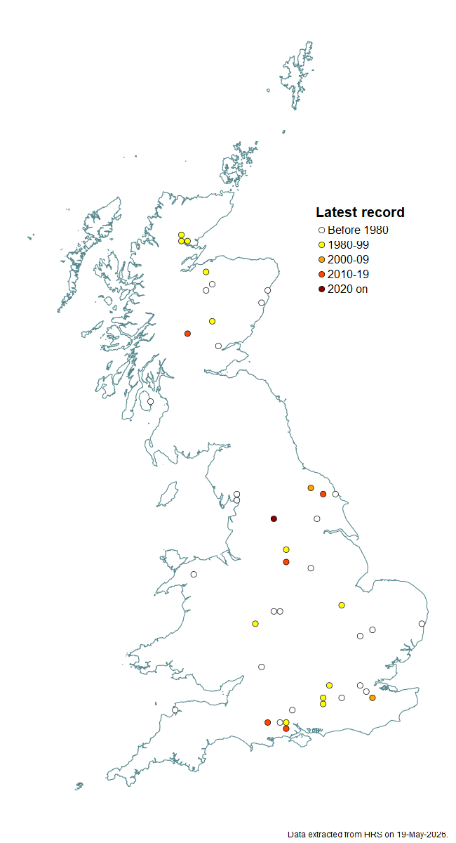 Distribution map for Melangyna barbifrons
