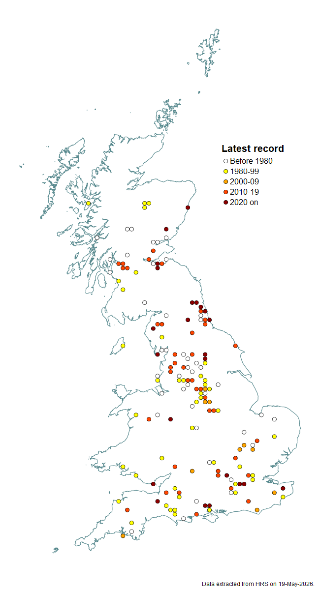 Distribution map for Meligramma guttatum