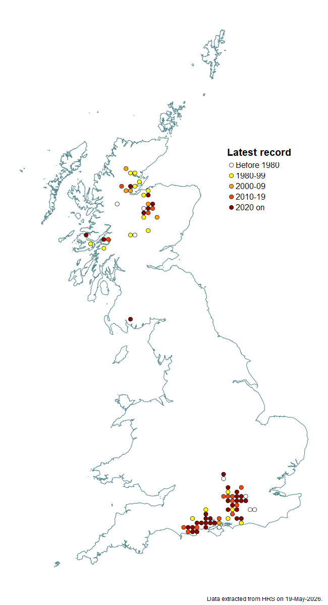 Distribution map for Microdon analis