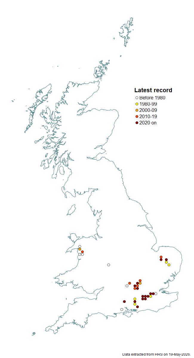 Distribution map for Microdon devius