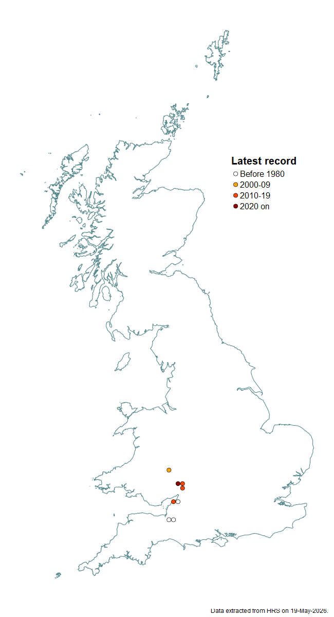 Distribution map for Myolepta potens