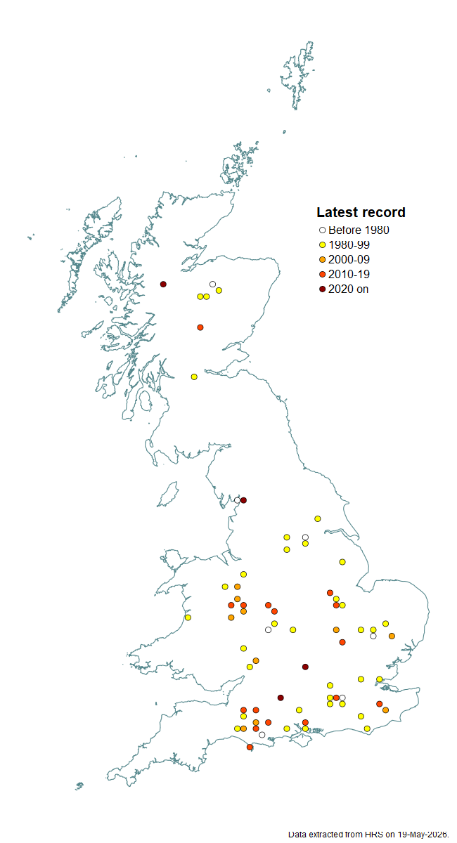 Distribution map for Neocnemodon pubescens