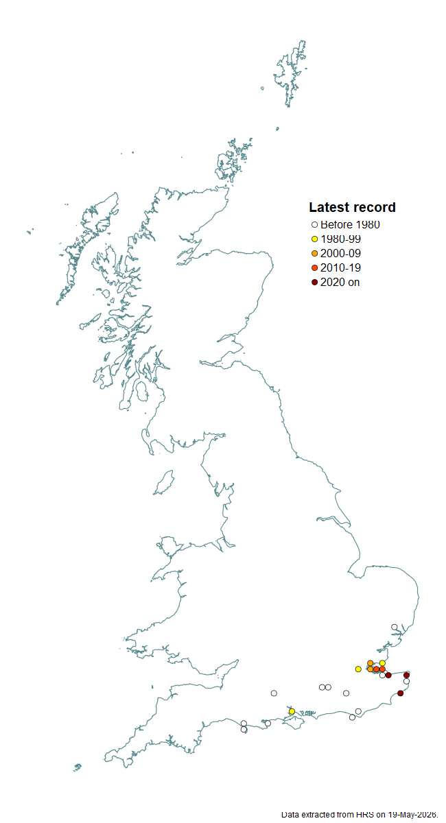 Distribution map for Paragus albifrons