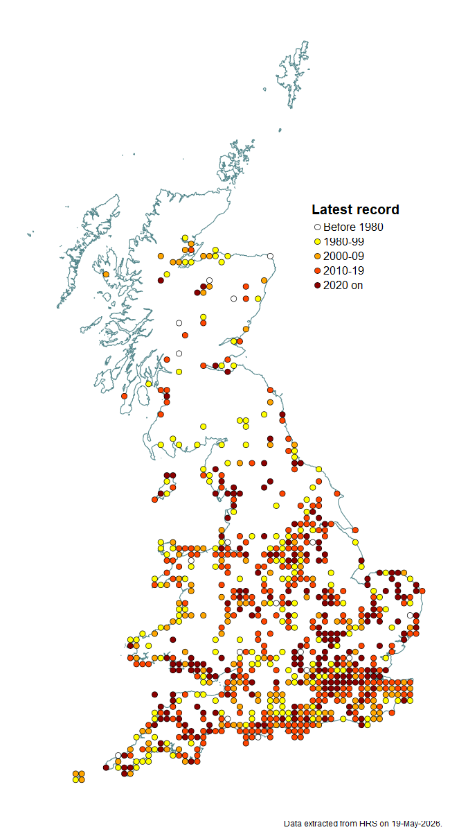 Distribution map for Paragus haemorrhous