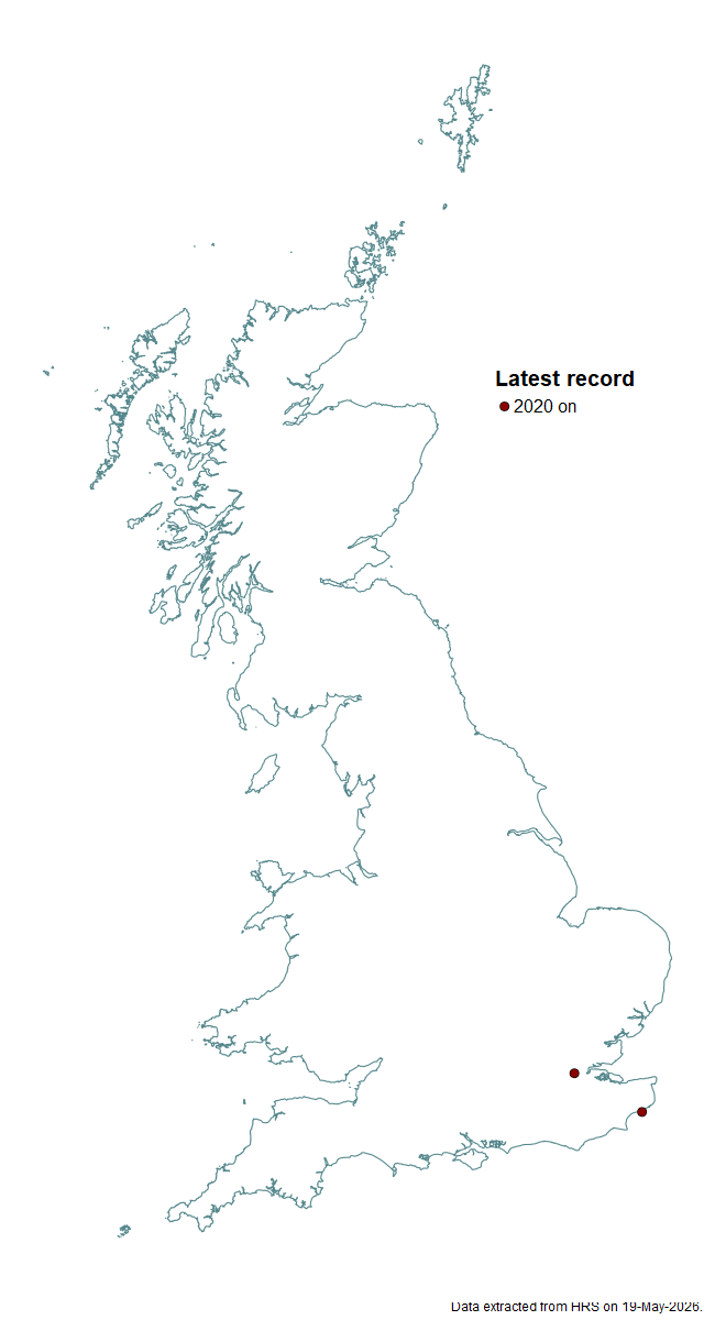 Distribution map for Paragus quadrifasciatus