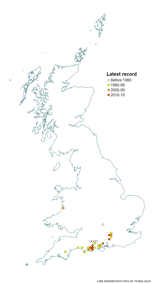 Distribution map for Paragus tibialis