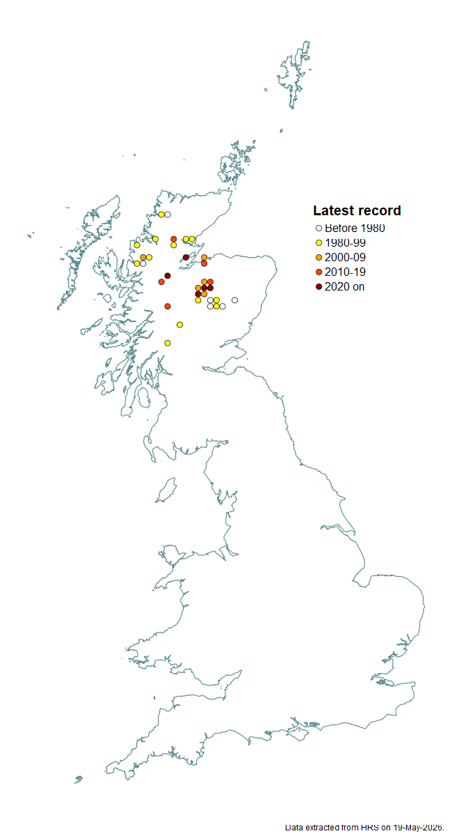 Distribution map for Pelecocera scaevoides