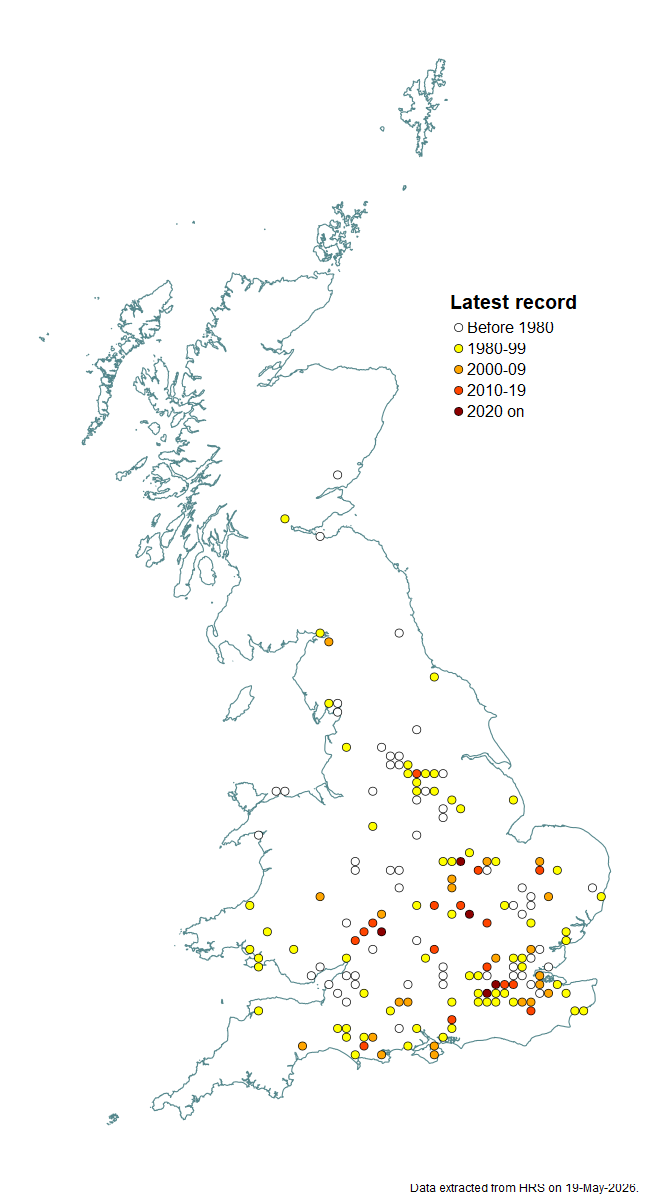 Distribution map for Pipiza fasciata