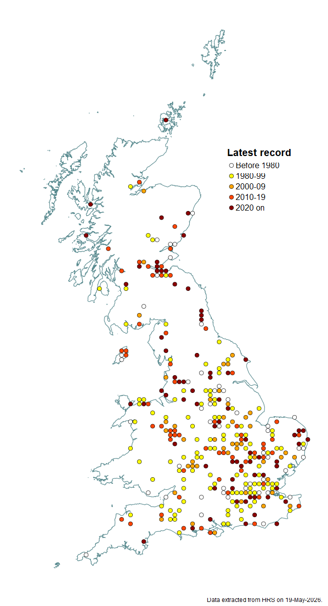 Distribution map for Pipiza luteitarsis