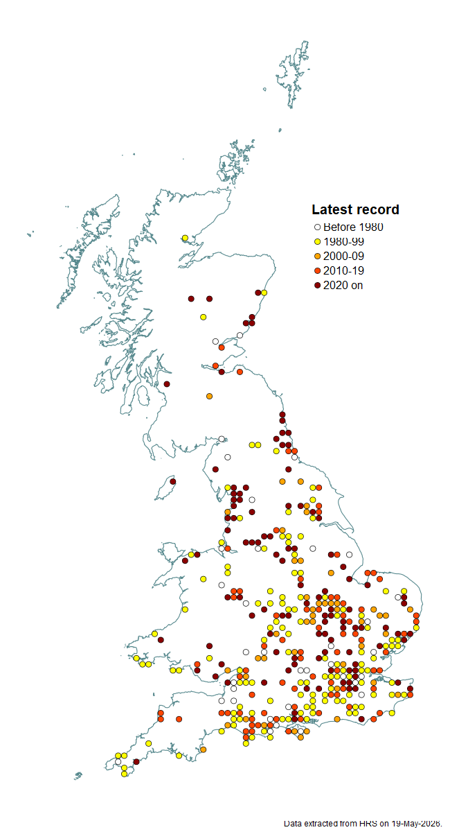Distribution map for Platycheirus ambiguus