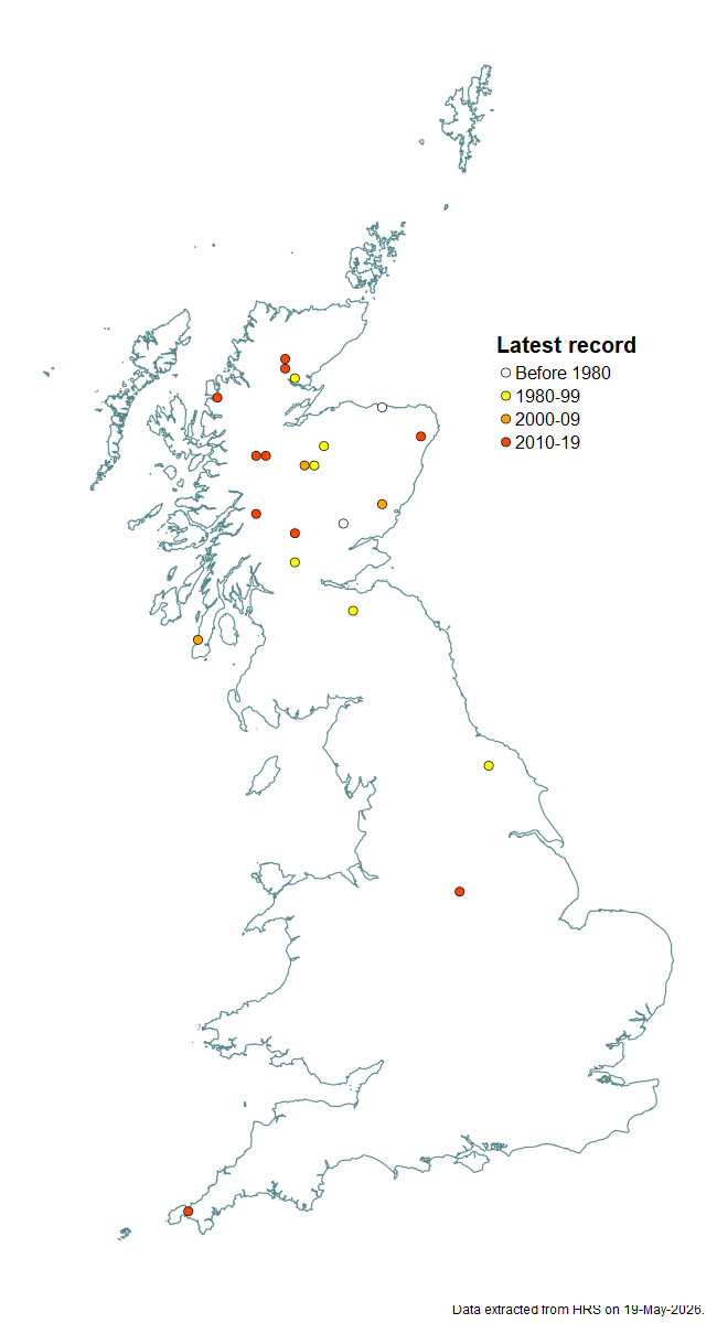Distribution map for Platycheirus amplus