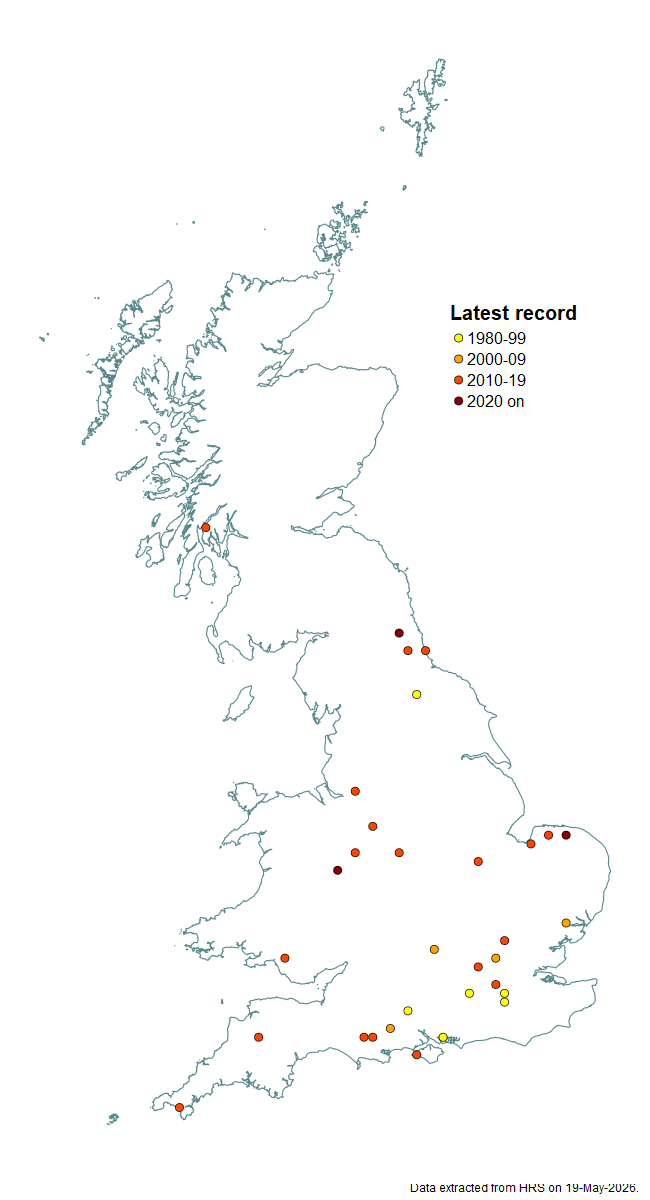 Distribution map for Platycheirus aurolateralis