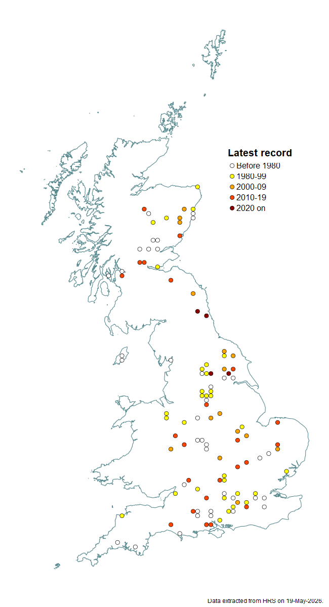 Distribution map for Platycheirus discimanus