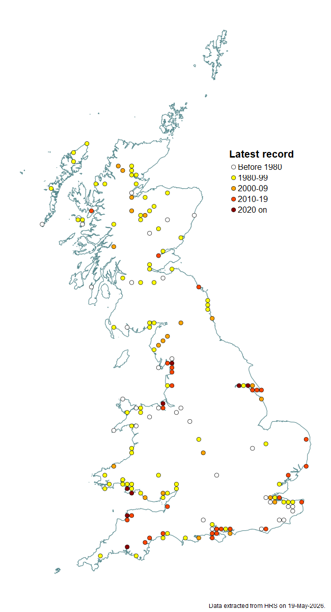 Distribution map for Platycheirus immarginatus