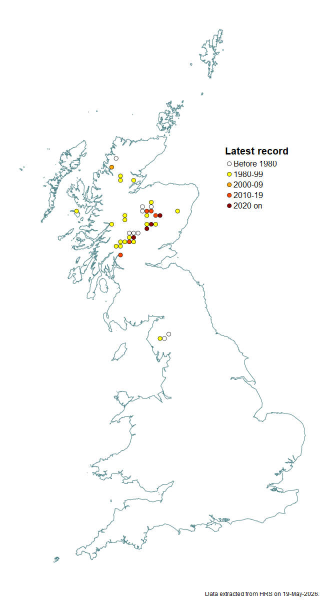 Distribution map for Platycheirus melanopsis