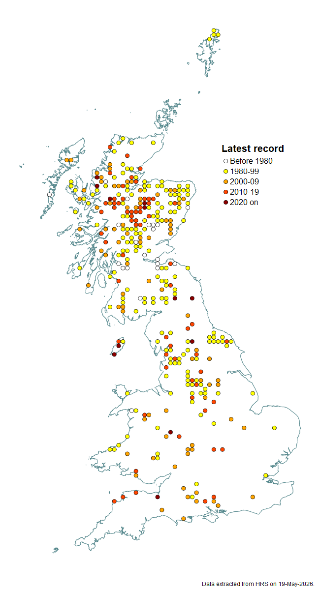 Distribution map for Platycheirus nielseni