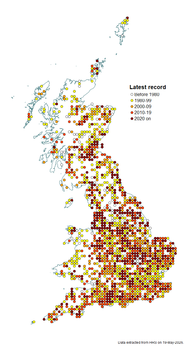 Distribution map for Platycheirus peltatus