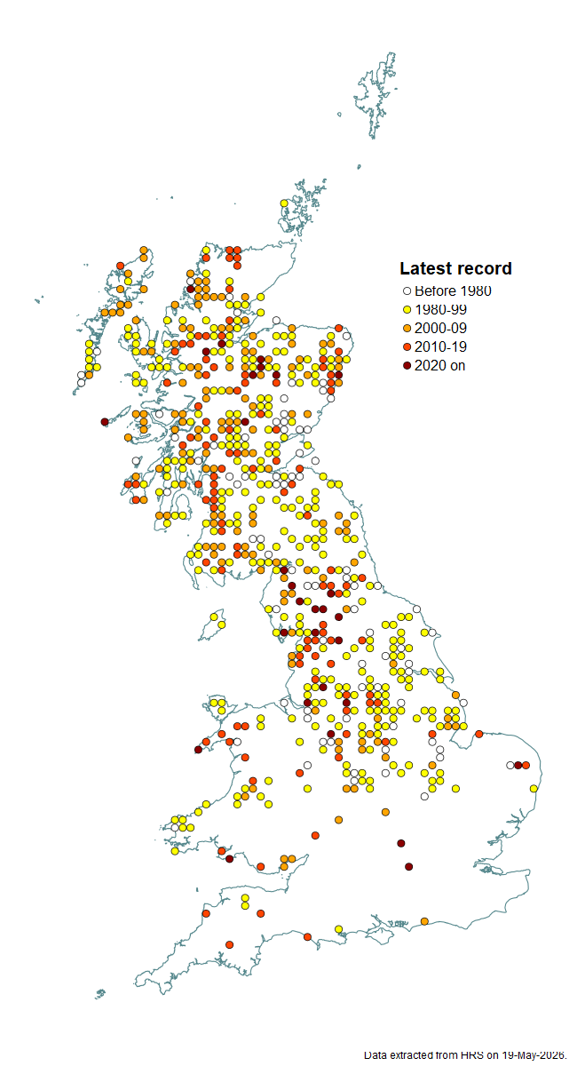 Distribution map for Platycheirus scambus