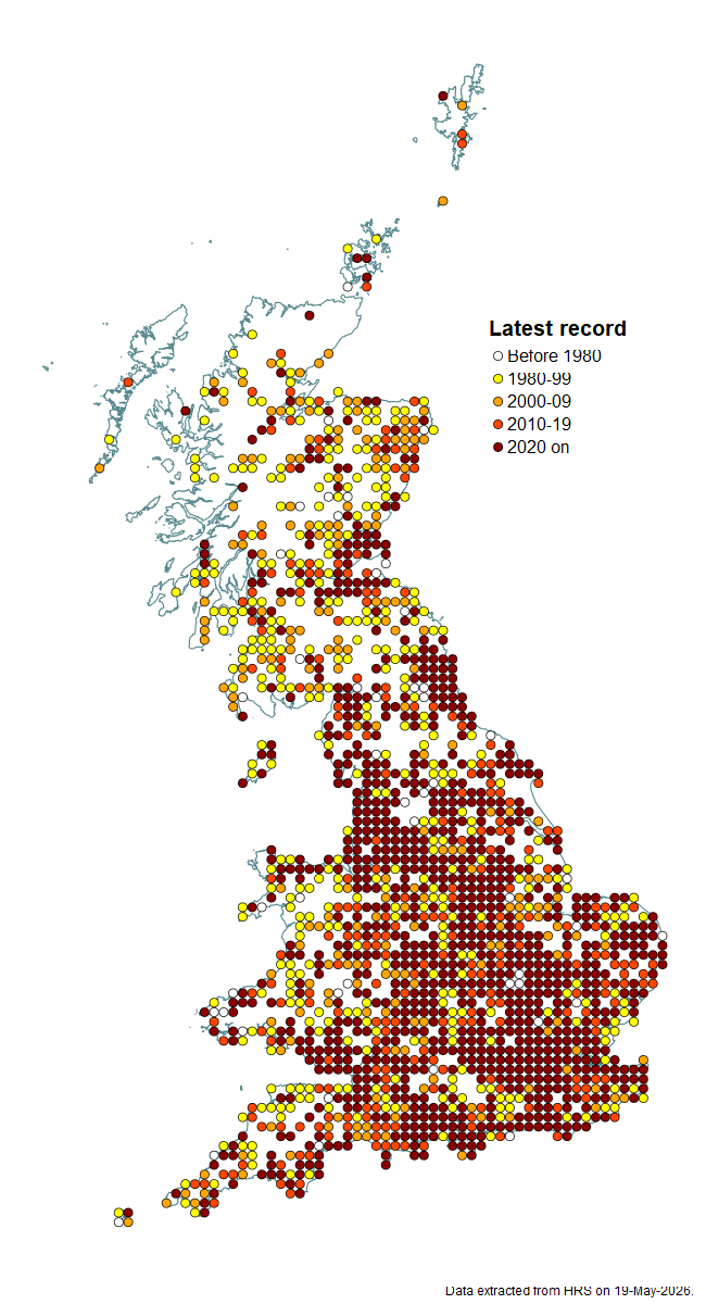 Distribution map for Platycheirus scutatus