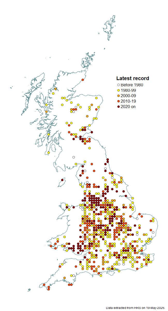 Distribution map for Platycheirus tarsalis