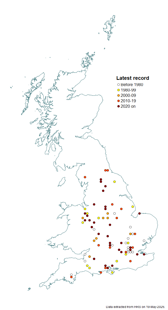 Distribution map for Pocota personata