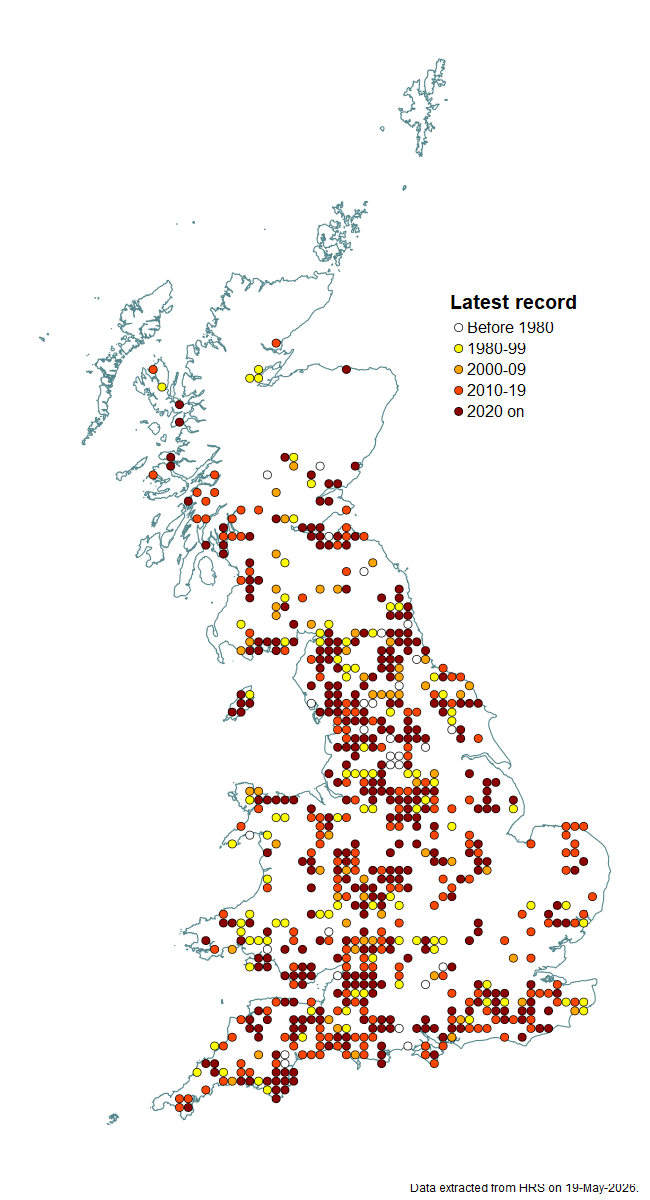 Distribution map for Portevinia maculata