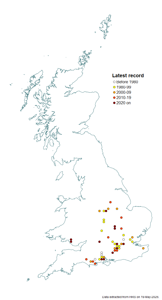 Distribution map for Psilota anthracina
