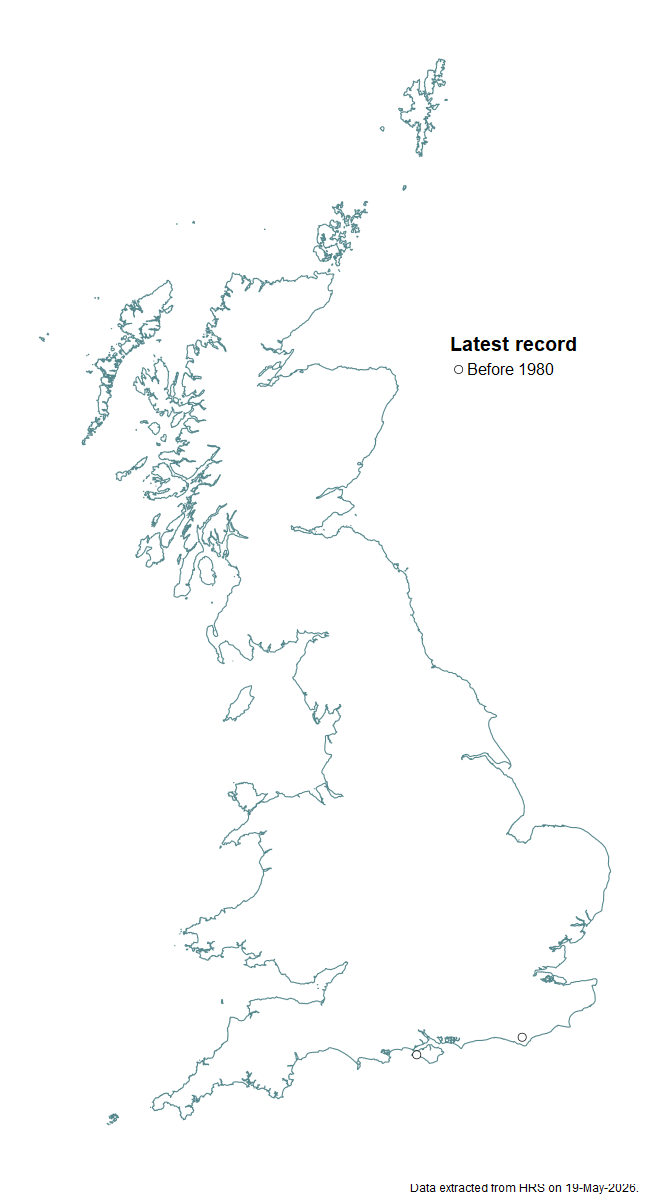 Distribution map for Scaeva albomaculata