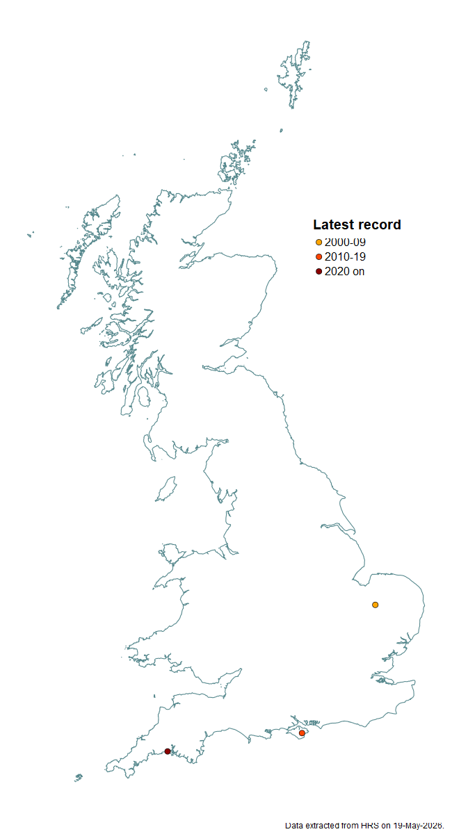 Distribution map for Scaeva dignota
