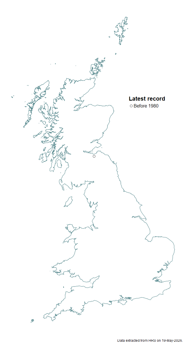 Distribution map for Scaeva mecogramma