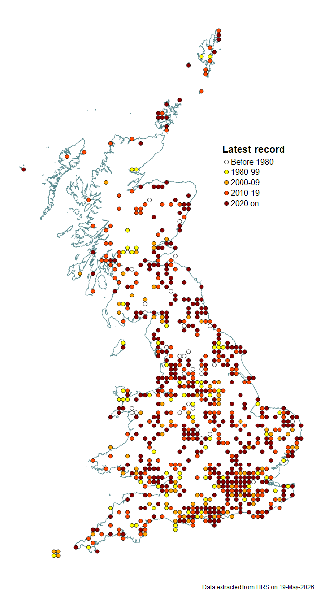 Distribution map for Scaeva selenitica