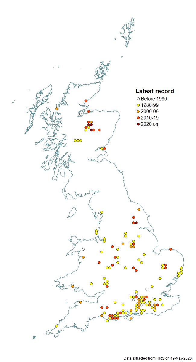 Distribution map for Sphaerophoria batava