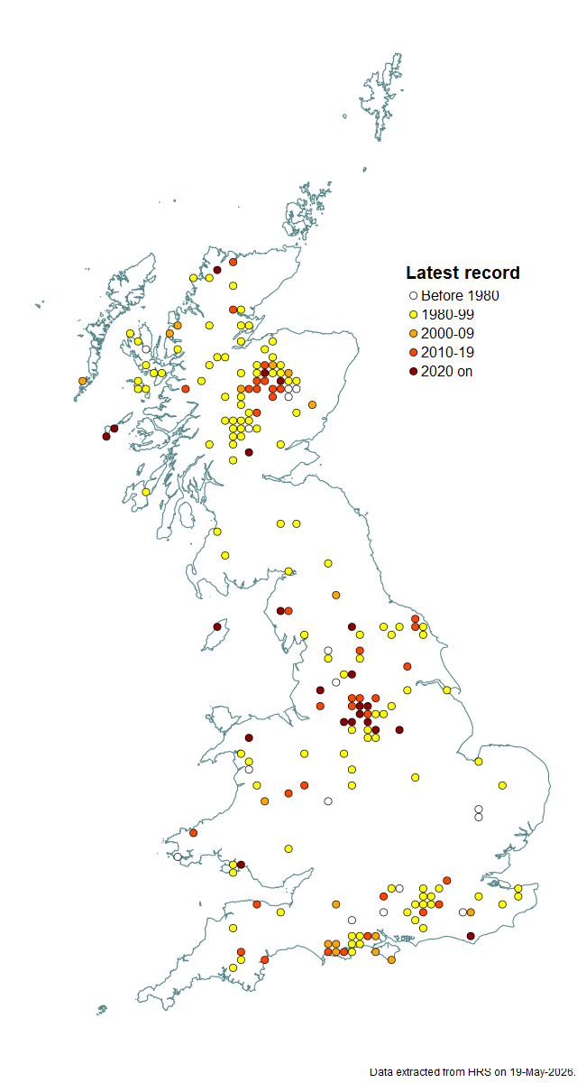 Distribution map for Sphaerophoria fatarum
