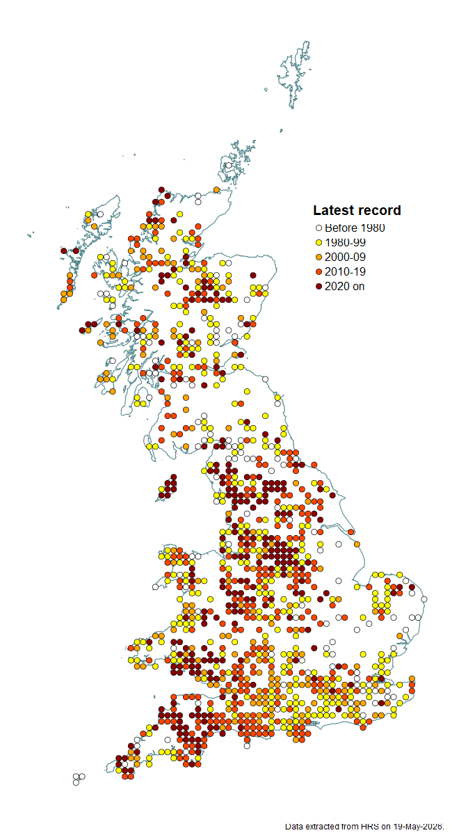 Distribution map for Sphaerophoria interrupta