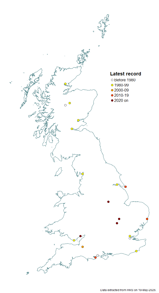 Distribution map for Sphaerophoria loewi
