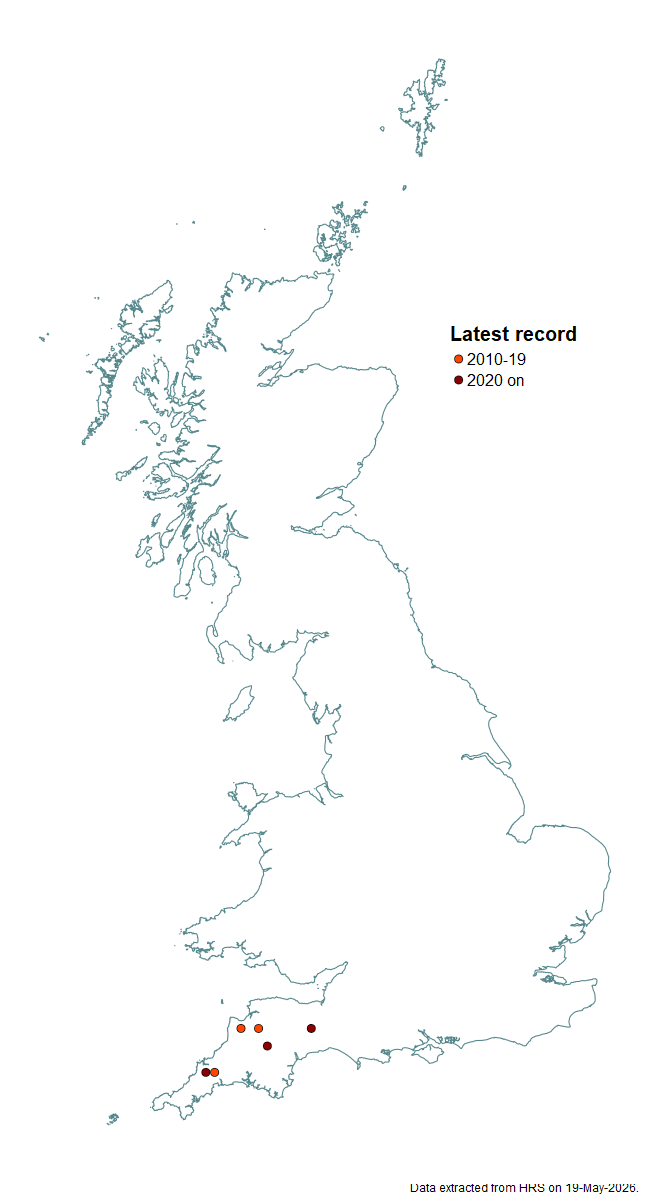 Distribution map for Sphaerophoria potentillae