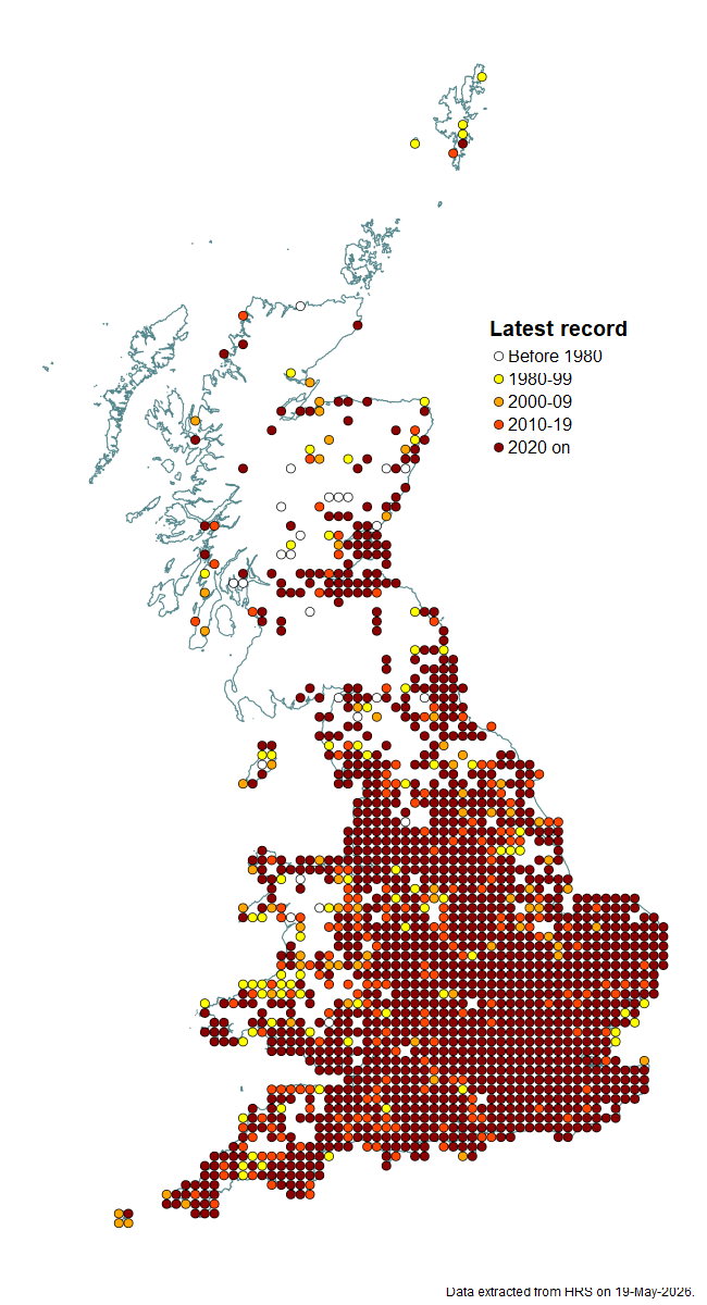 Distribution map for Sphaerophoria scripta