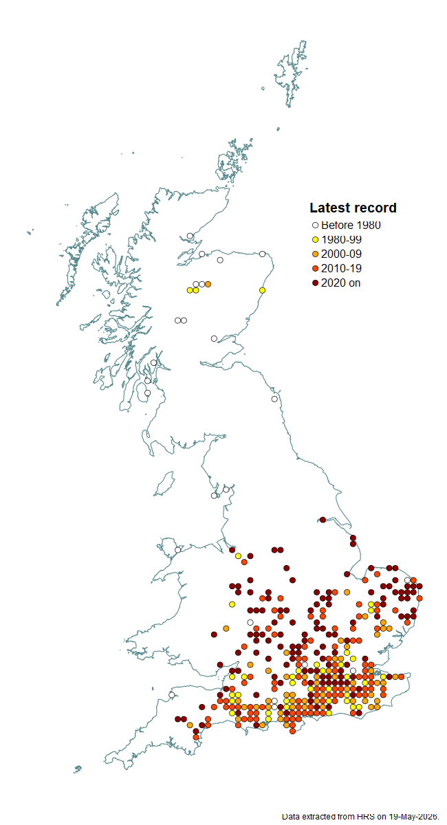 Distribution map for Sphaerophoria taeniata