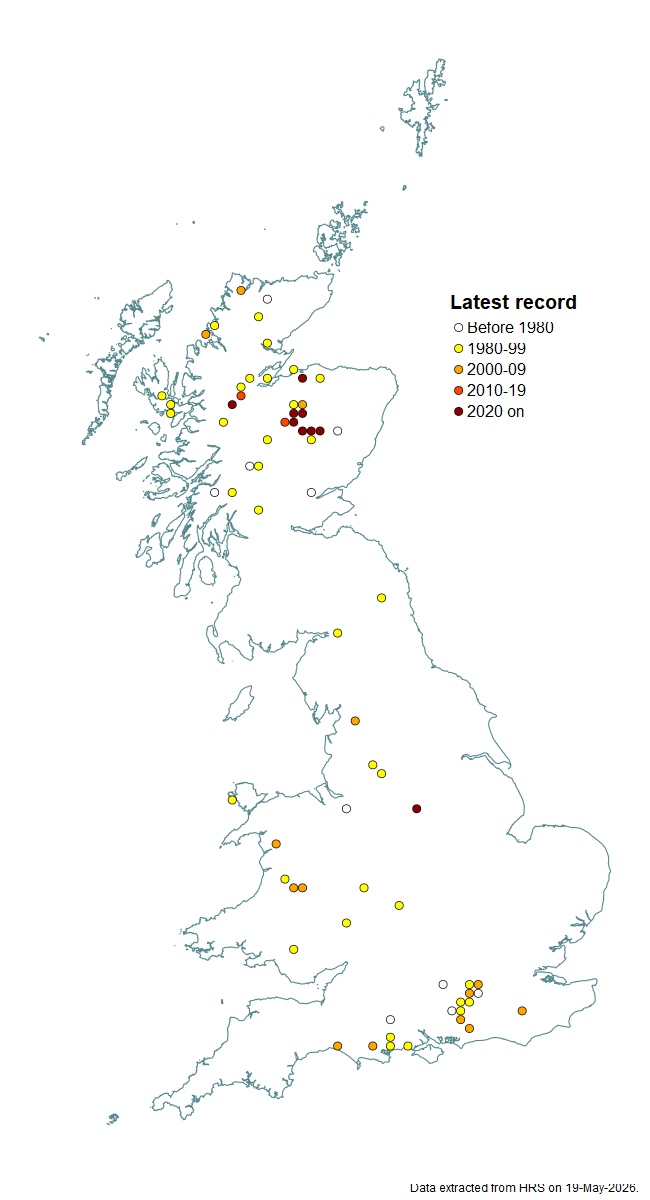 Distribution map for Sphaerophoria virgata